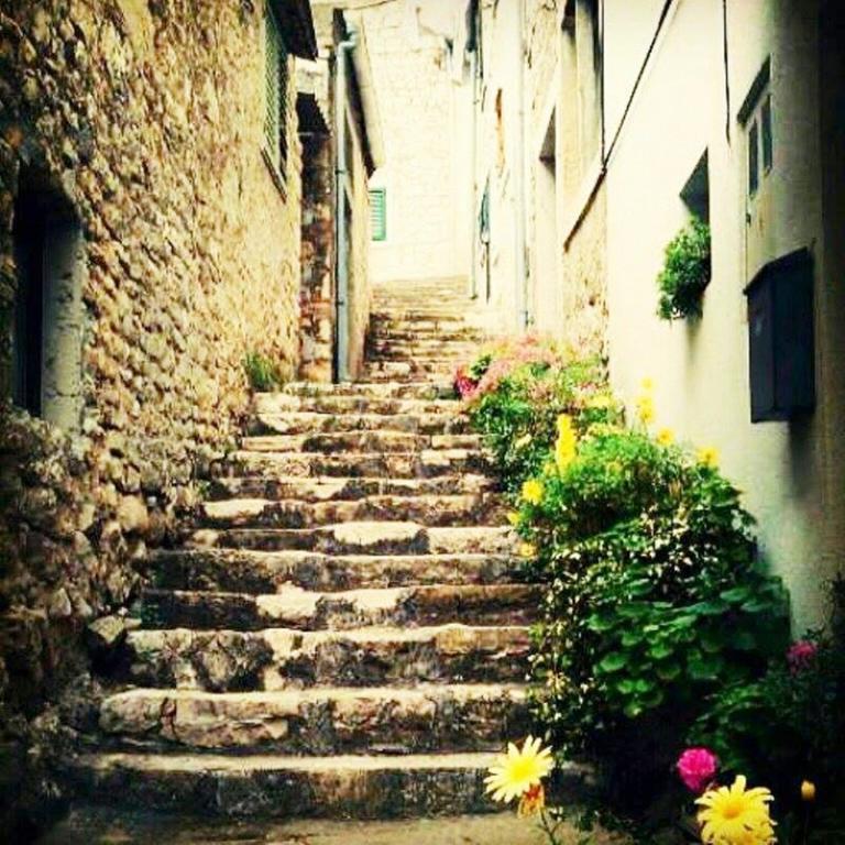 Aparthotel Castrum Novum Novigrad Istria 외부 사진